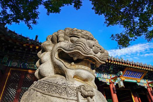 眉山高考复读生招生时间