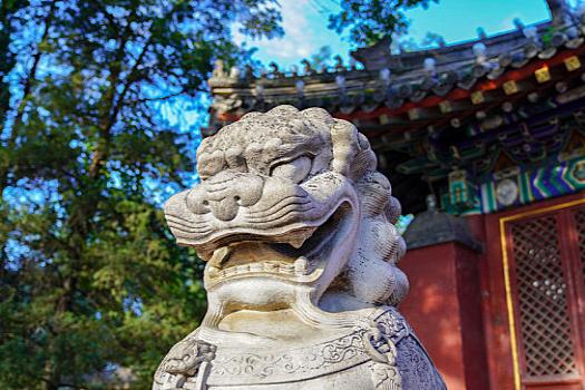 绵阳高考复读必须回本校复读吗