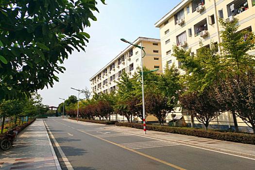 选择了高考复读就要做什么